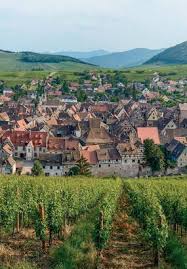Terrine De Fruits Rouges A La Menthe Et Creme Mascarpone Citronnee Recette En 2020 Chateau Vin Pouilly Fuisse Paysage Agricole