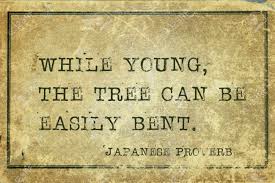 While Young, The Tree Can Be Easily Bent - Ancient Japanese Proverb.. Stock  Photo, Picture And Royalty Free Image. Image 59632411.