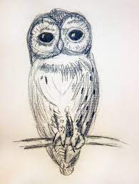 Barn Owl Drawing Owls Drawing Barn Owl Drawing Owl Art