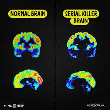 Serial Killers: 16 Toxic Traits, Myths And Facts