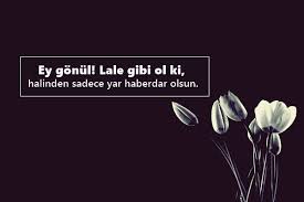 Çiçeklerle i̇lgili güzel şiirler, çiçek i̇le i̇lgili sözler, çiçekle i̇lgili özlü sözler, çiçeklerle i̇lgili sözler kısa, çiçeklerle 45. Lale Ile Ilgili Sozler Lale Sozleri Pek Guzel Sozler