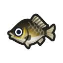 Animal Crossing New Horizons Fish Prices: How Much Your Catches Are Worth |  Nintendo Insider