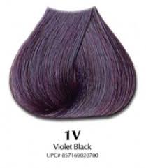 Violet black hair meets all of these criteria and many more. Satin Hair Color Violet Black 1v Hair Color For Black Hair Violet Hair Colors Beauty Hair Color