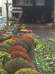 Flights to lubbock from college station in june are about $259 on average during june, but can be found for as low as $95. Flowers Lubbock King Nursery Lubbock Tx