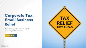 Corporate Tax: Small Business Relief