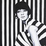 TWIGGY JUMPER. Painting by Phil Bower