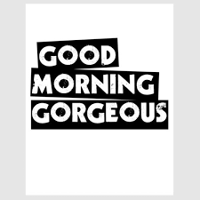 Good Morning Gangster Quotes Meme Image 05 Quotesbae