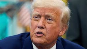 Arnold Schwarzenegger's facial hair is a hit in his new political post  criticizing Trump: 'Love the beard big guy!'