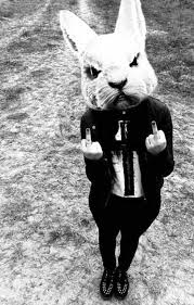 Team Jimmy Joe Funny Pictures Memes Humor Sarcasm Art Animal Heads Creepy