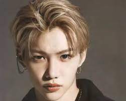 In french, hungarian, slovak, portuguese and spanish it is written with an acute accent, félix, whereas in catalan it is written with a grave accent, fèlix. Wer Ist Stray Kids Felix Korebu Com De