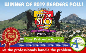 Find the best pest control companies by your zip code here. Brezden Pest Wins 1st Place Best Of Slo County 2019