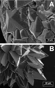 Oxalates are irritant for the digestive mucous membranes. Portion Of Calcium Oxalate Druse Biominerals From Two Representative Download Scientific Diagram