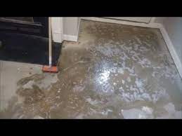 How To Remove Dog Or Cat Urine Odor From Concrete For Good Step By Step Youtube