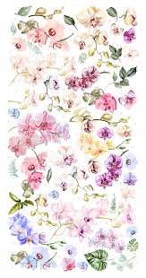 Watercolor floral pattern watercolor floral wreath watercolor floral border watercolor floral elements watercolor floral invitation blue watercolor floral. Hand Drawn Watercolor Bundle 4 26491 Illustrations Design Bundles In 2021 Orchid Wallpaper Orchid Drawing Flower Wallpaper