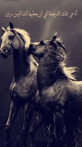 انا تلك الفرصه التي لاتعوض Love Quotes Photos Arabic Quotes Beautiful Arabic Words