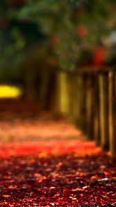 The Art Of Landscaping Information And The Most Beautiful Gallery Part Vii Take A Qu Background For Photography Photography Wallpaper Background Pictures While our team has created and curated some of the best zoom. pinterest