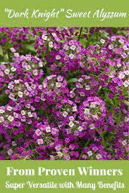 Pin On Gardens Ing