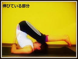 改善ストレッチ 骨盤のゆがみ 反り腰 くびれ エクササイズ トレーニング 骨盤