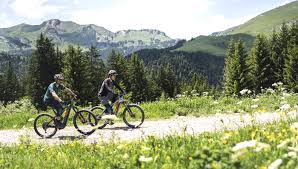 Fahrradmarken Schmidt Bikeshop Fachhandler Fahrrad Und Zubehor