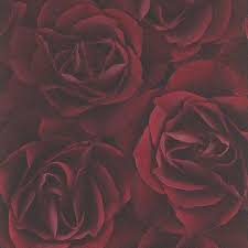 Red rose blur nature background hd wallpaper. Crispy Paper Dark Red Rose Wallpaper By Rasch 525625