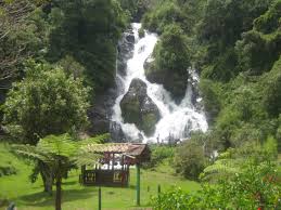 Beautiful Medellin Http Www Travelandtransitions Com Destinations Destination Advice North America Cascadas Antioquia Colombia Colombia