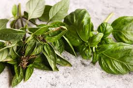 You should apply half the amount of tarragon that you would use thai basil in your recipe. Thai Basil Vs Basil The Culinary Compass