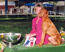 The search tool above returns a list of breeders located nearest to the zip or postal code you enter. Vizsla Breeder Registry Vizsla Breeders California Usa Vizslas Vizsla Puppies Vizsla Breeder Registry Jayney S Creative Works Jcw