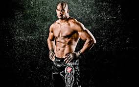 Ufc микс файт удар андерсон силва витор белфорт андерсон сильва фронт кик передний удар. Ufc Fighters Wallpapers Wallpaper Cave