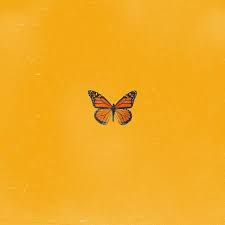 Check spelling or type a new query. Pin By Melinaa On Wallpapers In 2021 Yellow Butterfly Yellow Aesthetic Yellow Wallpaper