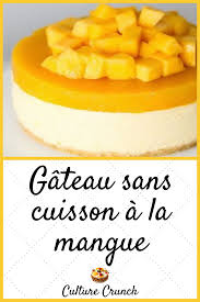 Gateau Sans Cuisson A La Mangue La Recette Facile En 2020 Gateau Sans Cuisson Gateau Chocolat Sans Cuisson Recette