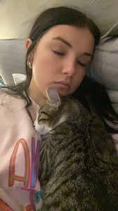 Lost dog Rufus found at Beeson Park in Kernersville