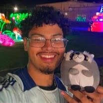 Javier Alejandro "Alex" Romero Montoya Obituary