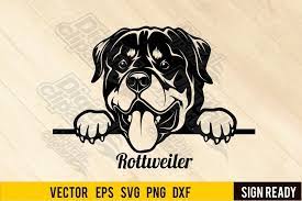 Download Peeking Rottweiler Dog Svg Clipart Vector Cut 1082127 Cut Files Design Bundles
