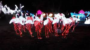 6 top hotels in batu pahat. Wet World Glow Park å¼€å¼ å•¦ Winrayland