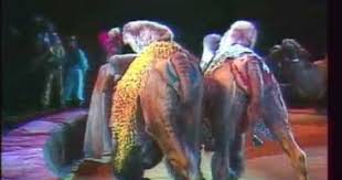 Dancing Bears The Moscow Circus Animals Under The Big Top Bears Youtube Dancing Bears Big Top Youtube