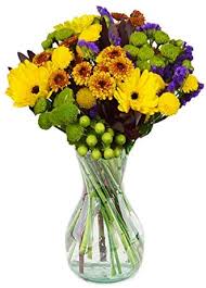 Click to see our best video content. Amazon Com Delivery By Monday September 20th Arabella Bouquets Joyous Bouquet With Vase Fresh Cut Flowers Grocery Gourmet Food