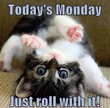 Pin By Kamissica Johnson On Work Humor Good Morning Funny Monday Humor Morning Humor