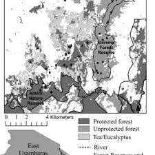Maybe you would like to learn more about one of these? Average Number Of Stems 20 M Per Forest Class Black Bars Are Average Download Scientific Diagram