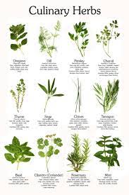 Pin On Recipes