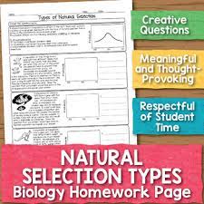 It will affect the two types of giraffe but the shorter neck giraffe will be affected more because they are not able to reach high places in the tree while the long neck giraffes could. Natural Selection Types Biology Homework Worksheet By Science With Mrs Lau