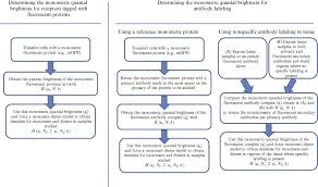 Protect, support structures, absorb nutrients into the body, secrete mucous, salts and enzymes. Animal Tissues An Overview Sciencedirect Topics