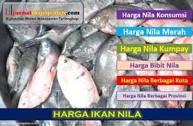 Ikan nila memiliki gizi yang sangat tinggi jika di olah dengan benar jika anda ingin memakan ikan nila anda bisa memakannya di lamongan atau bahkan anda bisa memasaknya sendiri. Daftar Harga Ikan Nila Per Kilo Di Pasar Terbaru Dan Terlengkap