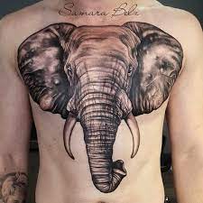 Big Realistic Elephant Head Tattoo On The Chest Elephant Tattoos Elephant Head Tattoo Elephant Tattoo Small