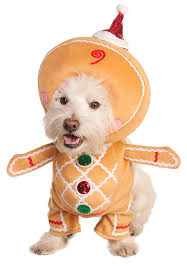 See more ideas about shrek, gingerbread man costumes, shrek costume. Cheap Gingerbread Man Costume For Adults Find Gingerbread Man Costume For Adults Deals On Line At Alibaba Com