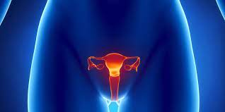 Karena perannya yang penting dalam kelangsungan hidup, banyak ilmuwan berpendapat kalau sistem reproduksi ini merupakan yang terpenting di. 7 Penyakit Yang Mengintai Sistem Reproduksi Wanita Halaman All Kompas Com