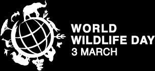 But on world wildlife day, the un and its partners are planning to raise awareness of the gravity of this dire situation. Official Website Of Un World Wildlife Day