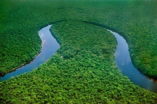 What goes on the massive Congo Rainforest Basin? Has it been fully explored? What mysteries lie within it? : r/geography