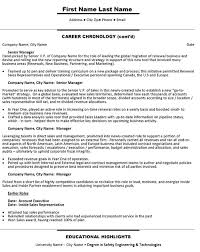 Senior national account manager (wholesale) banbury, england, gb. Sales Account Executive Resume Sample Template
