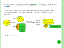 Convert between c17h35cooh weight and moles. Sarbonyl Compounds Carboxylic Acids Lipids Prezentaciya Onlajn