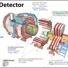 An important bug which cause problem to. Schematic View Of The Cms Detector With Its Various Sections In Download Scientific Diagram